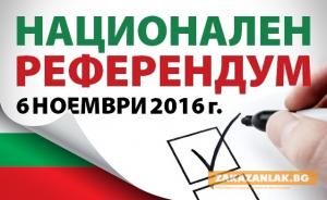 Какво трябва да знаем за националния референдум на 6 ноември? 