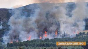 За два дни - над 50 пожара в Старозагорска област 