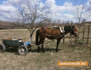 Потвърдиха присъдата на мъж, причинил смъртта на двама казанлъчани