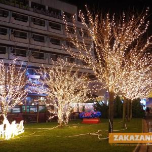 08.12.2015 - Запалване на коледната елха и откриване на ледената пързалка