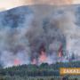 За два дни - над 50 пожара в Старозагорска област 