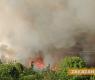 ОБНОВЕНА! Голям пожар в Старозагорско, очакват в гасенето да се включат два хеликоптера